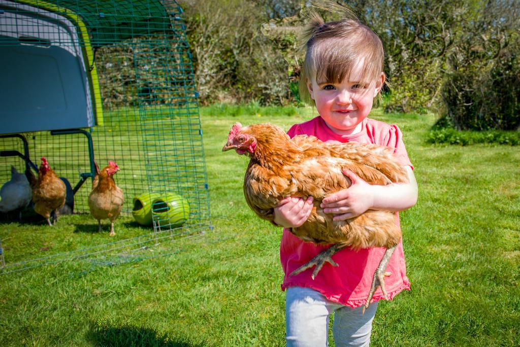 Cargurra Farm Villa Boscastle Eksteriør billede